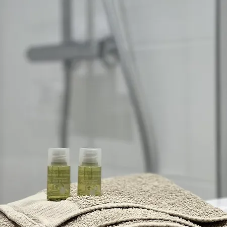 Situe En Plein Coeur Du Centre-ville